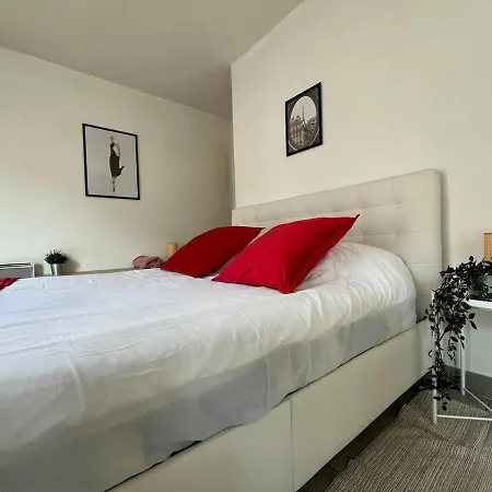A2 - Cosy Rue Commercante